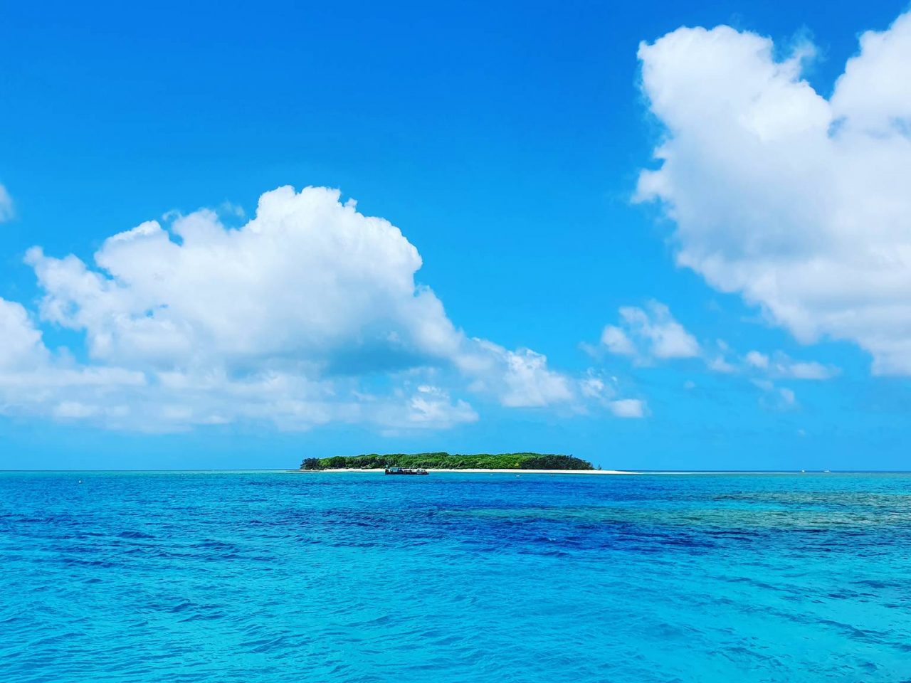 Lady Musgrave Island_2