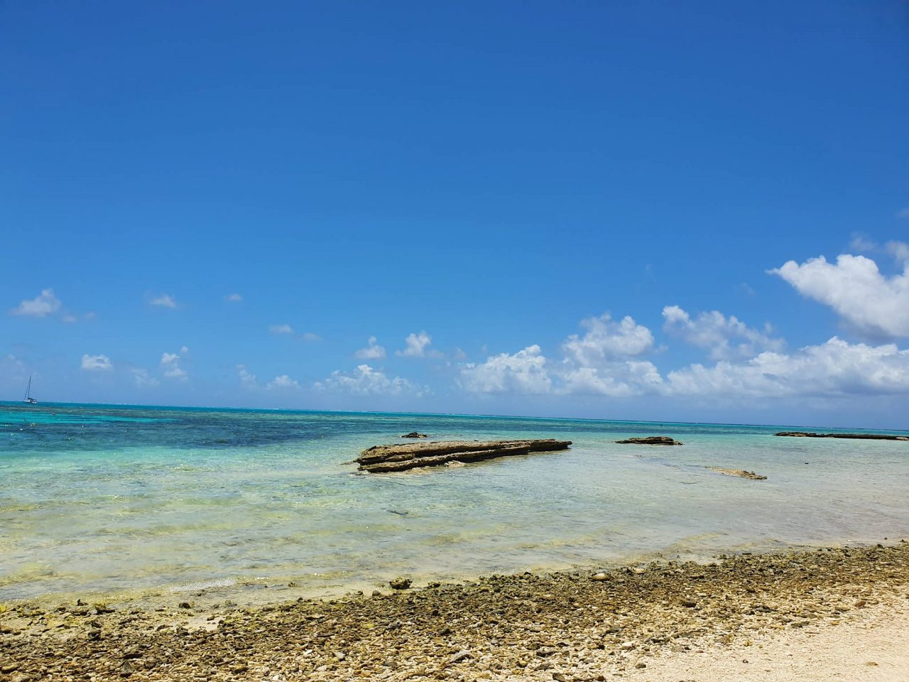 Lady Musgrave Island_3