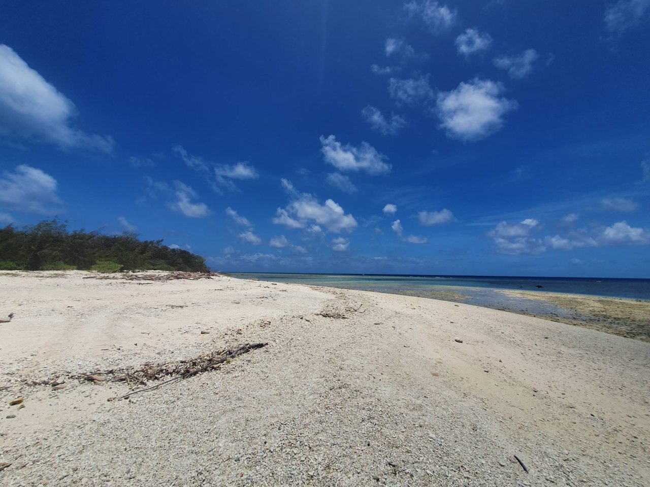 Lady Musgrave Island_5