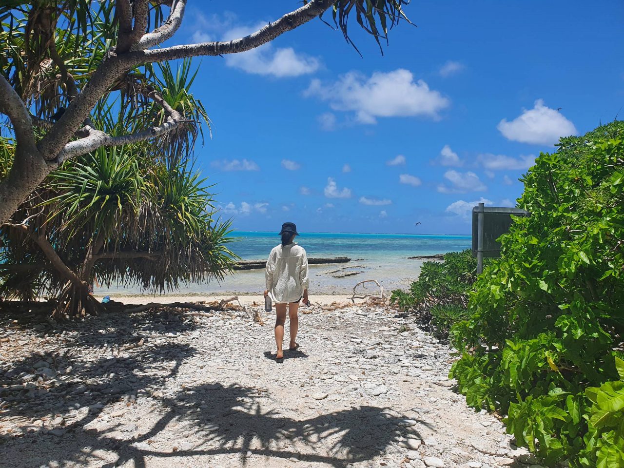 Lady Musgrave Island_6