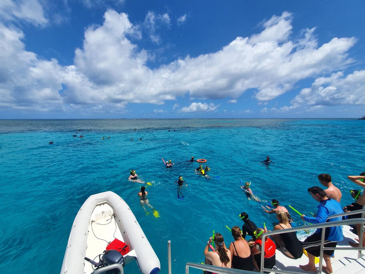 大家都下海浮潛瞜