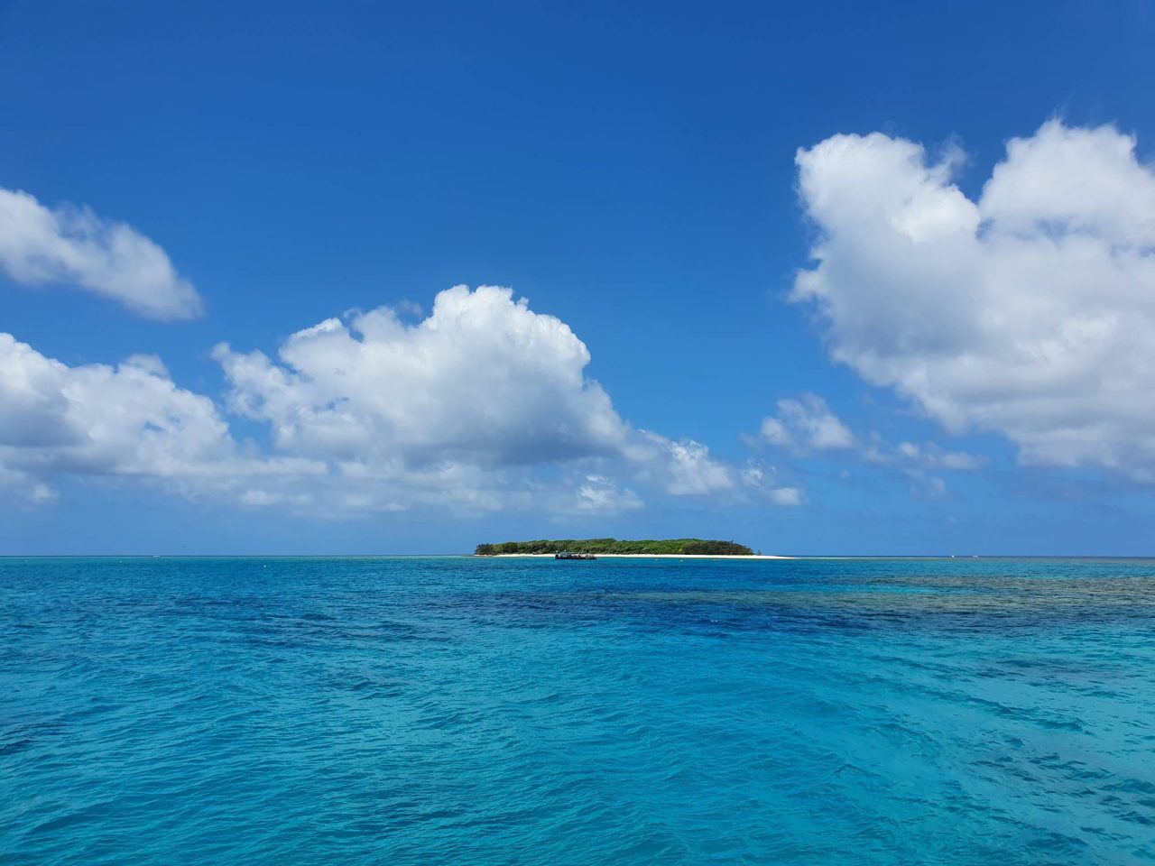 從船上看lady musgrave island